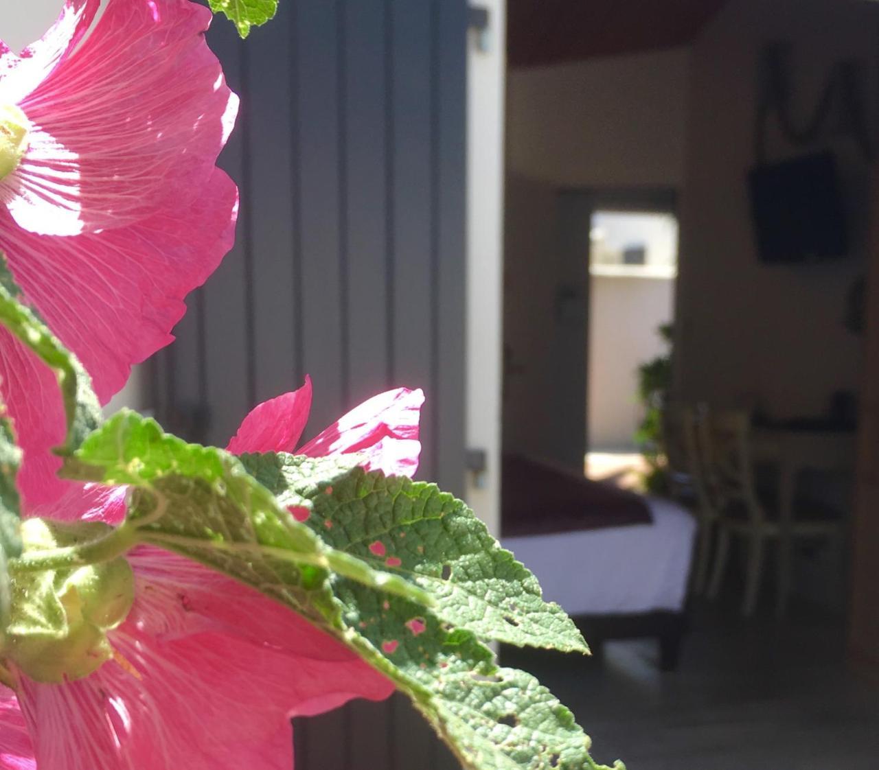 Hotel Restaurant & Spa Plaisir Le Bois-Plage-en-Ré Esterno foto